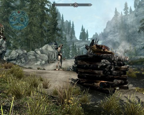 Elder Scrolls 5: Skyrim, The