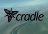 Cradle