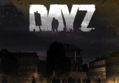 DayZ DayZ