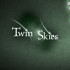 Дата выхода Twin Skies