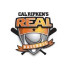 Системные требования Cal Ripken's Real Baseba…