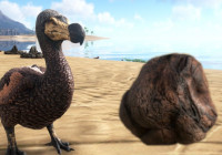  ARK: Survival Evolved  Xbox One  ,   PC