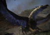 Dragon's Dogma: Dark Arisen—     Capcom  PC