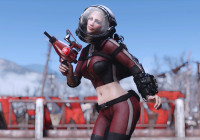    Fallout 4: Nuka-World   