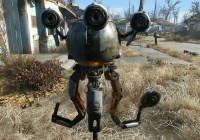 Fallout 4:  ,    