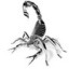 Аватар BlackScorpion