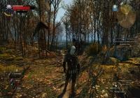 Плохая графика в The Witcher 3