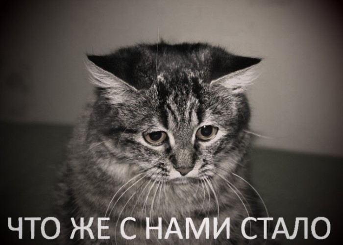 normal_1368010153.jpg