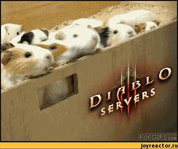 1337088219.gif