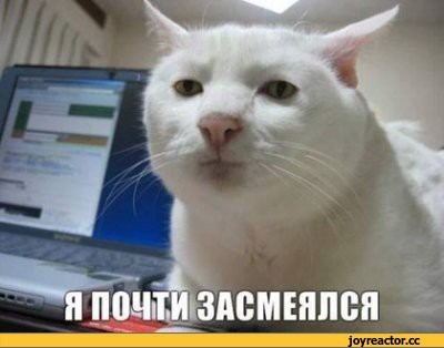Что такое ytp и rytp. Смотреть фото Что такое ytp и rytp. Смотреть картинку Что такое ytp и rytp. Картинка про Что такое ytp и rytp. Фото Что такое ytp и rytp