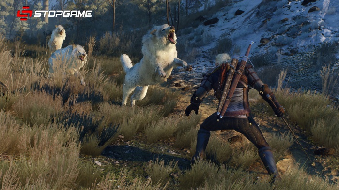 The Witcher 3: Wild Hunt — тяжелый путь к некстгену