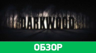 Darkwood: Обзор
