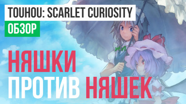 Touhou: Scarlet Curiosity: Обзор