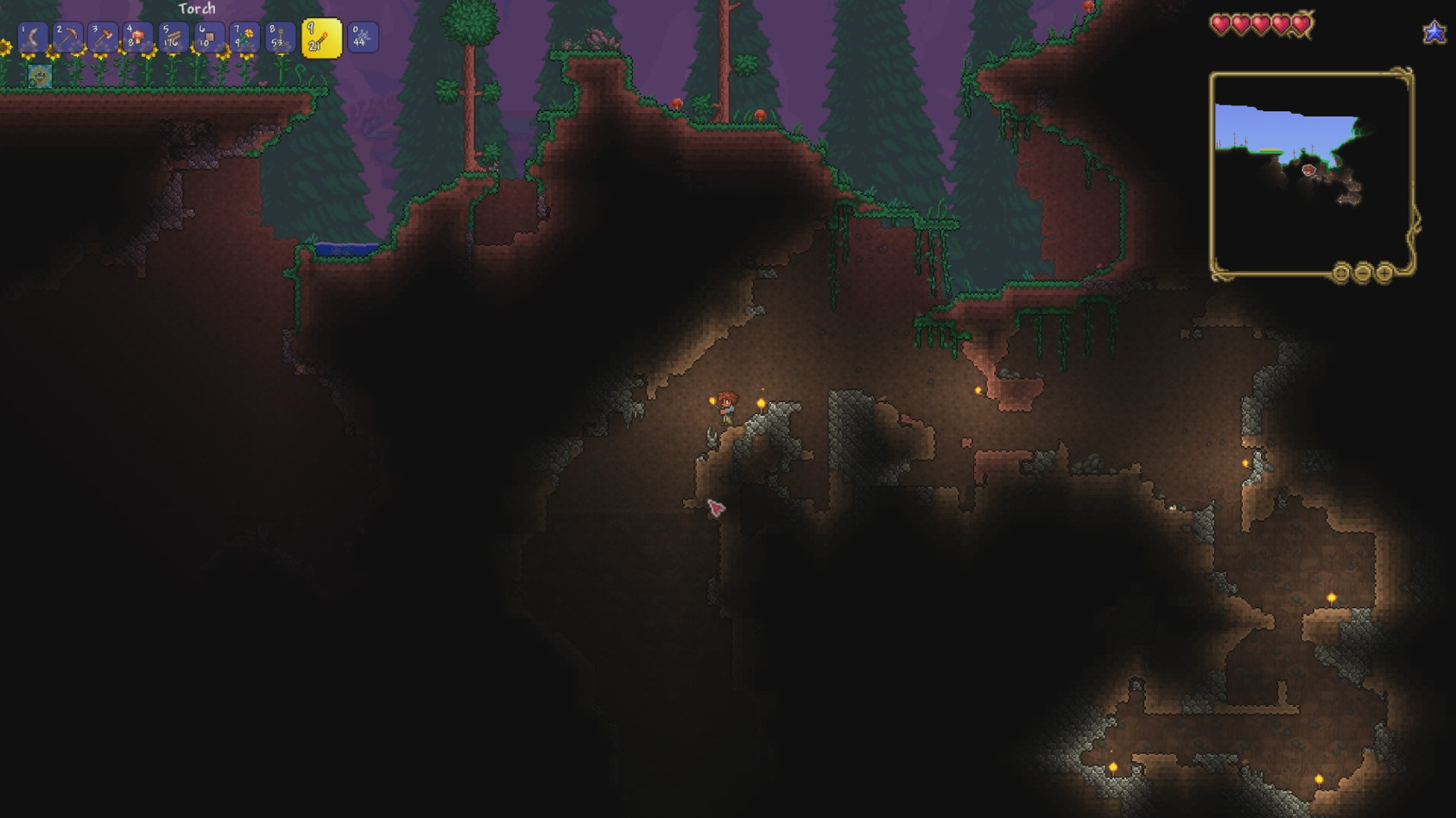 карта мира terraria фото 92