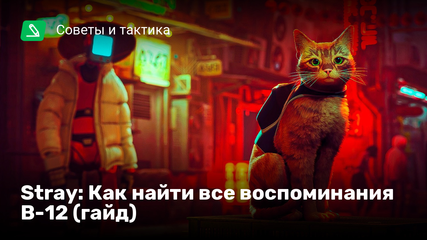 Stray где ключи. Где найти все воспоминания в Stray. Stray игра b12. Где найти Ноты в Stray. Стрэй как попасть в клуб.