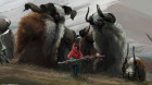 Herdling:    Ԛ FAR