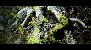 The Green Light: Трейлер