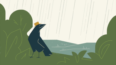 The Marvelous Raincaster of Yell Holler: Трейлер