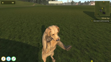 Animal Trainer Simulator: Пролог