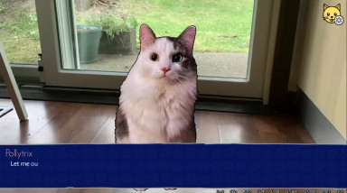 Cat President: 3rd-Rate Candidate: Трейлер