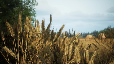 Call to Arms: Panzer Elite: Анонс игры