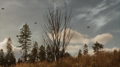 BULT: Hunting simulator: Трейлер