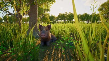 Wild Terrain: Анонс игры