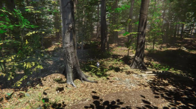 Bird: Трейлер