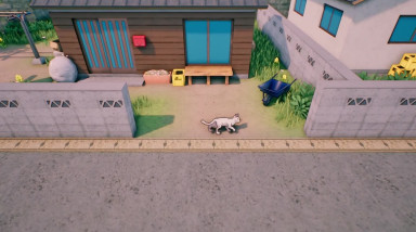 Rural Cat Trails: Анонс игры