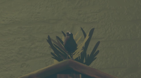 Birds Watching: Анонс игры