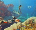 Subnautica 2: Превью самой ожидаемой игры в Steam