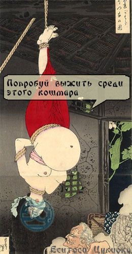 Мемуары геймши