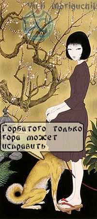 Мемуары геймши
