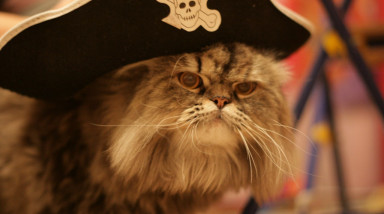 О печальных новостях на пиратском фронте…