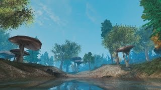 Красоты Morrowind'а