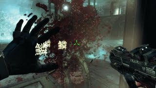Обзор игры: Shadow Warrior.