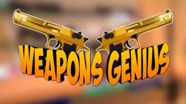 Обзор игры Weapons Genius