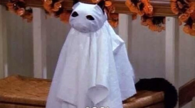 Хроники пикирующего кинематографа — Современный русский хоррор