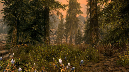 Большая подборка скриншотов Skyrim Special Edition.