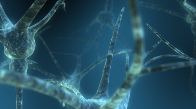 Игры полезны для нас?