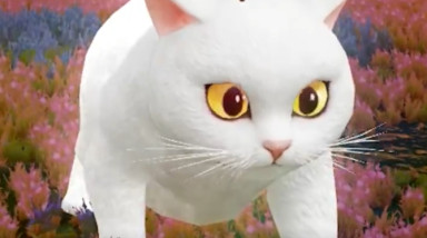 Облачный кот Revelation