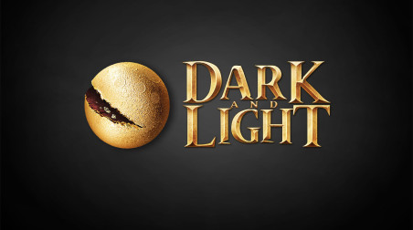 Новая информация о проекте Dark and Light — охранитель города гномов