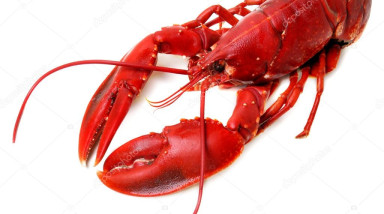 Солянка на всякий случай ч.2