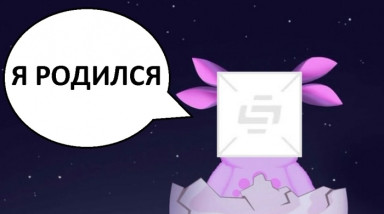 Маленькая история… БОЛЬШОГО ТВИНКА!