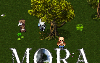 «MORA» Разработка 2D mmorpg