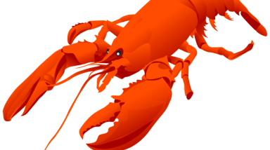 Солянка на всякий случай ч.4