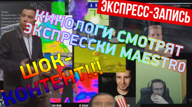 [Экспресс-запись] Шок-контент! Кинологи и экспресски от Maestr0