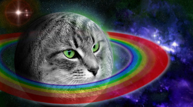 [Ивент на 1 апреля] Котейки!!! Настало время захватить мир!!!