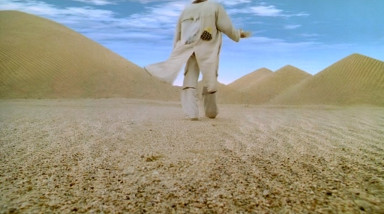 «Даун Хаус» или красота спасёт мир