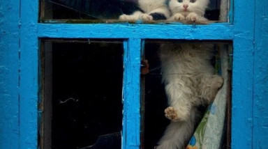 [На волне конкурса] Несбывшиеся мечты незадачливого автора